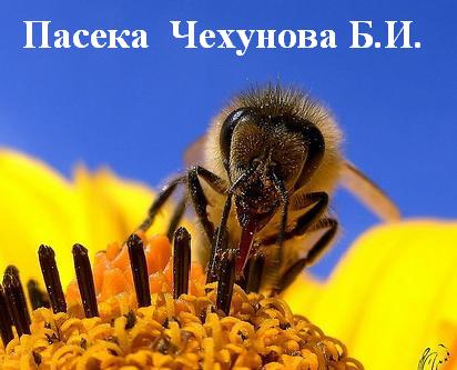 Cайт пчеловода Бориса Ивановича Чехунова!